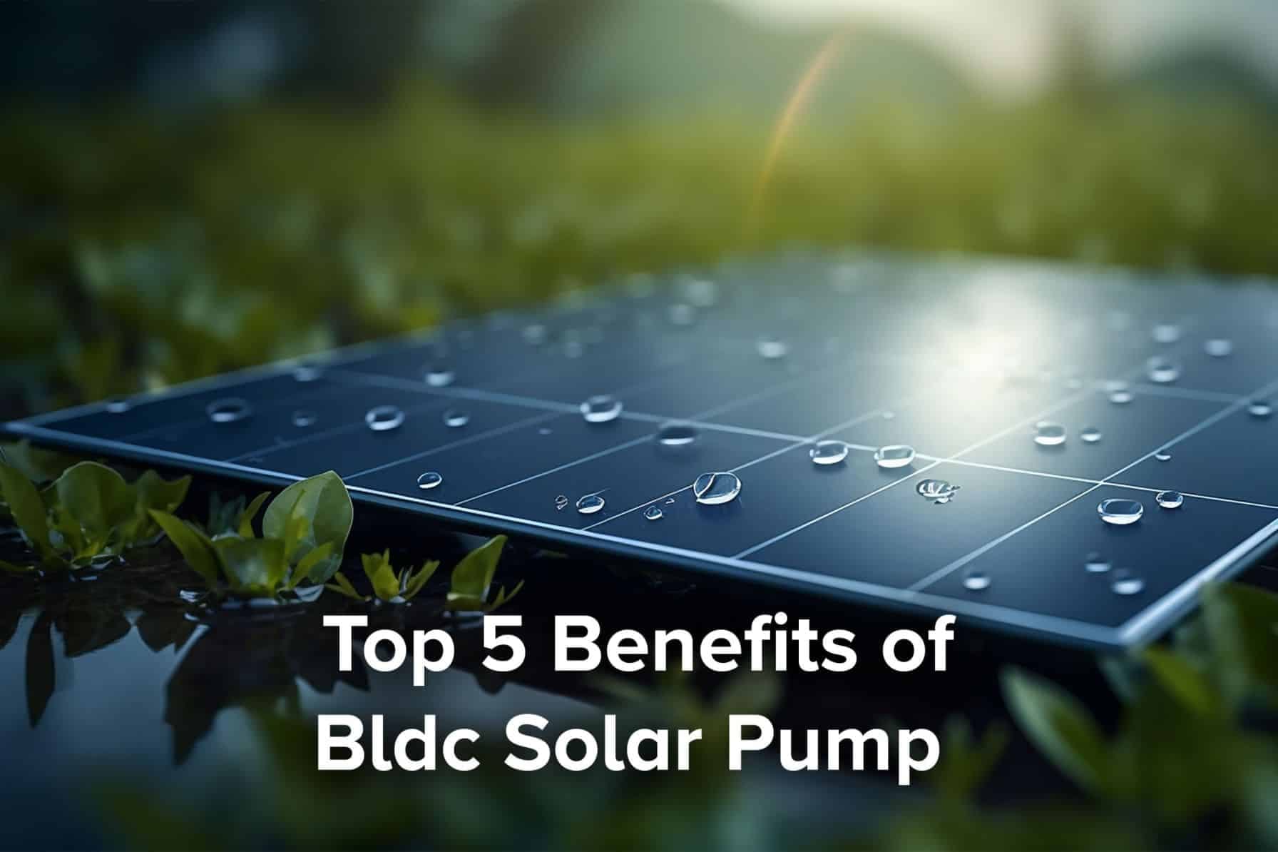 Benefits of Bldc Solar Pump