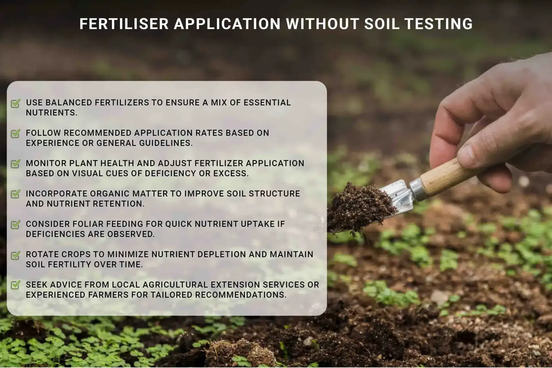 Mistakes Farmers Should Avoid While Applying Fertilizers