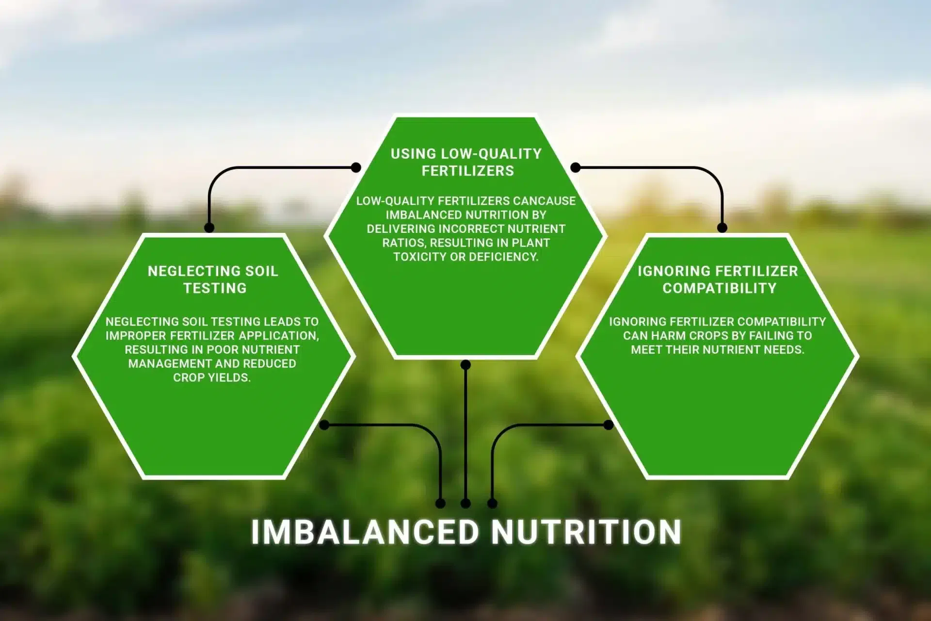 Mistakes Farmers Should Avoid While Applying Fertilizers