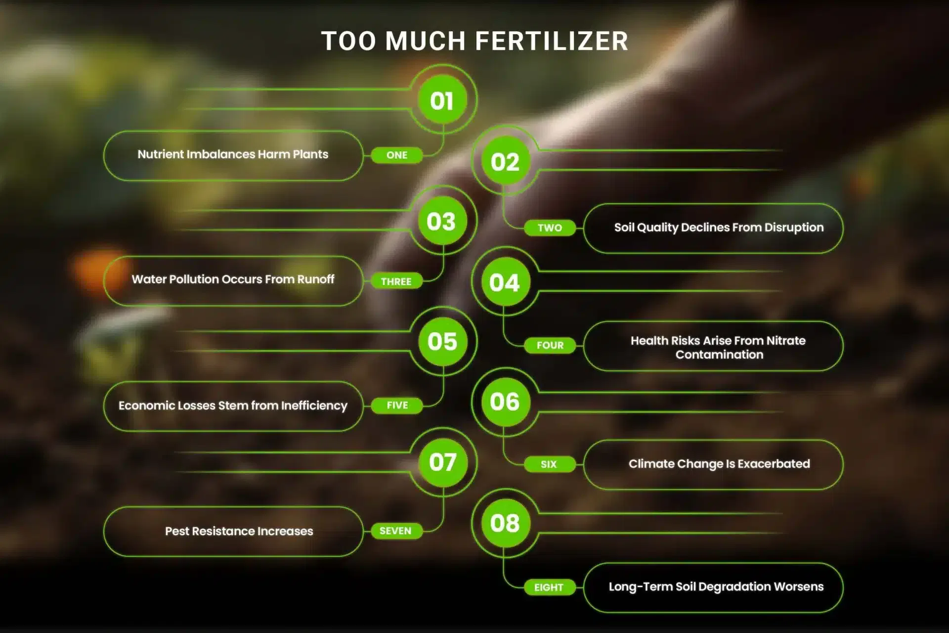 Mistakes Farmers Should Avoid While Applying Fertilizers