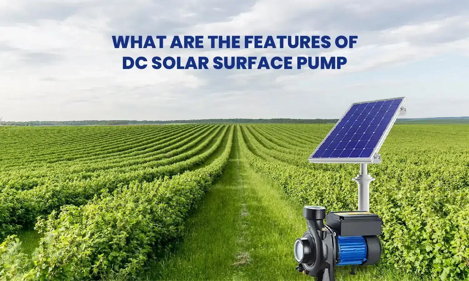 What are the Features of the DC Solar Surface Pump