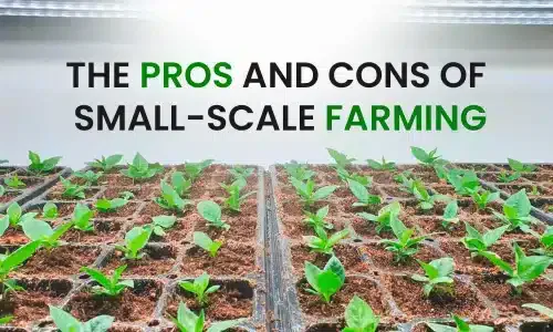 Small-Scale Farming