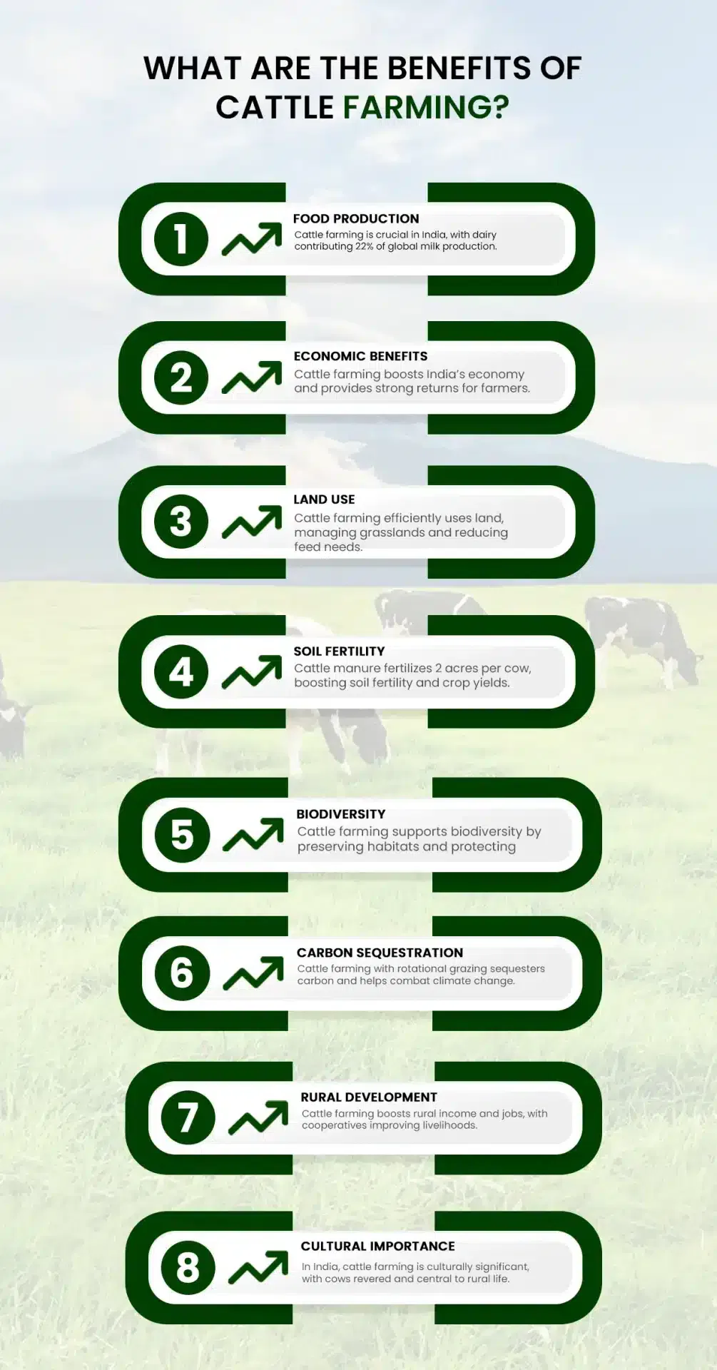 What Is Cattle Farming