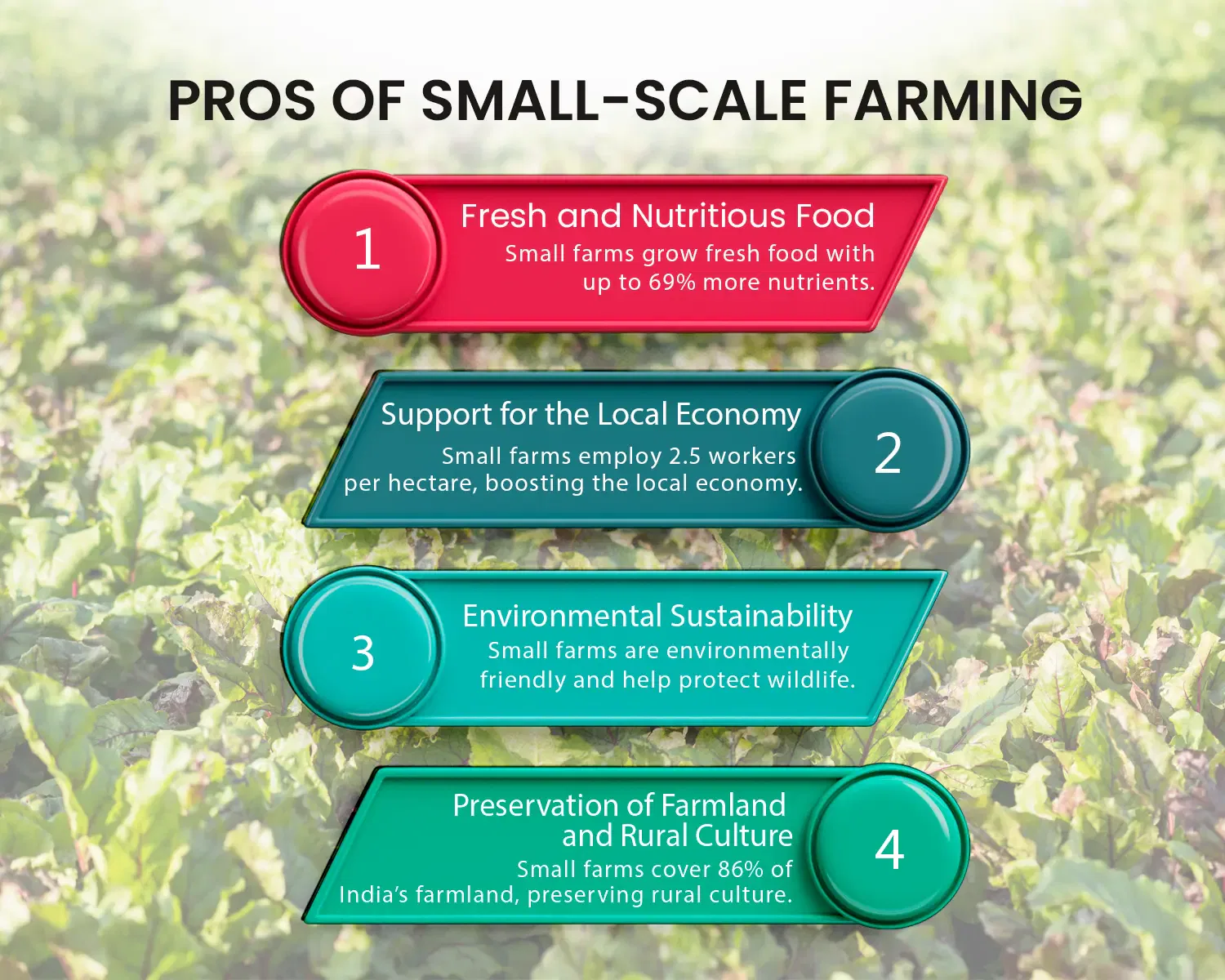 Small-Scale Farming