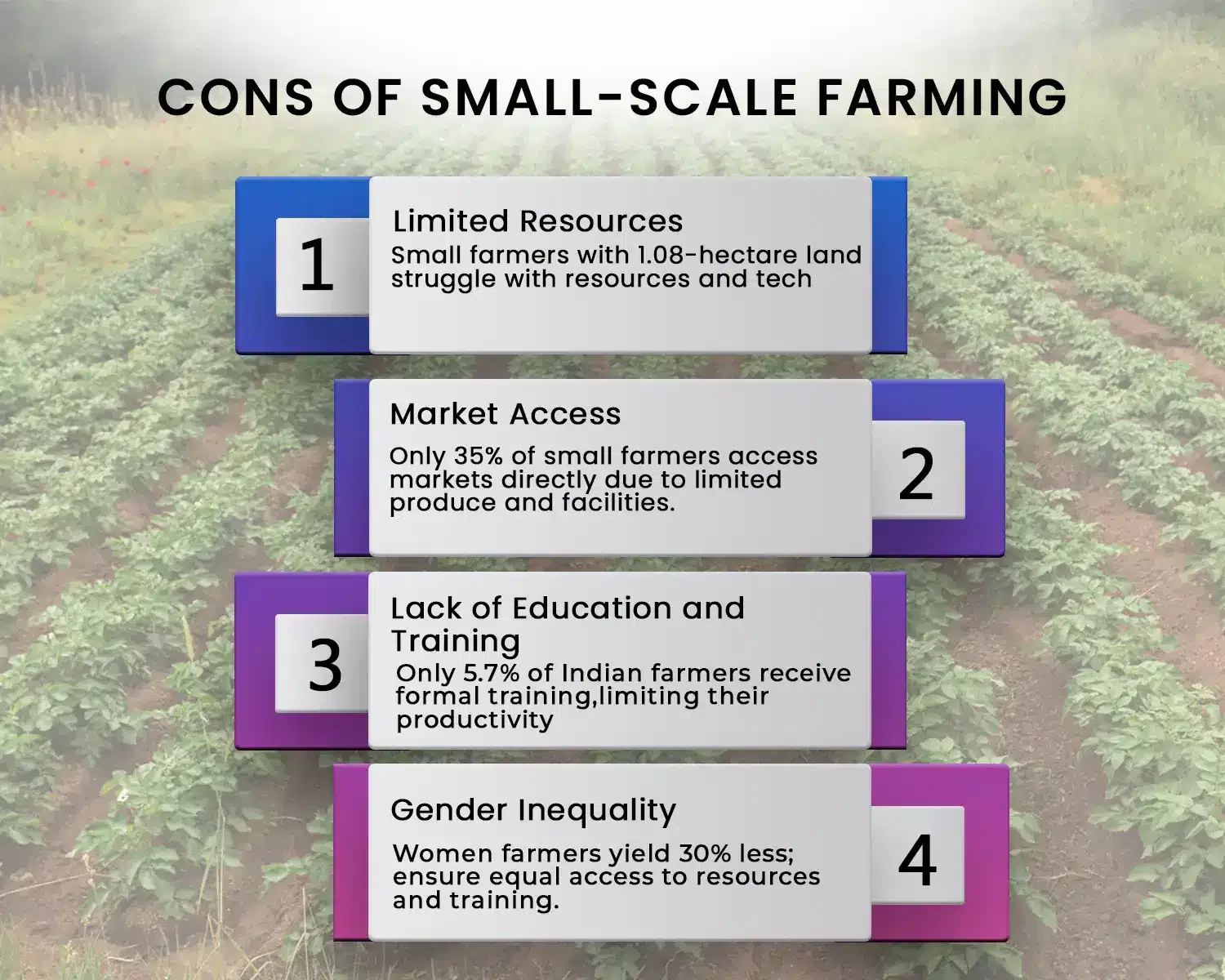 Small-Scale Farming