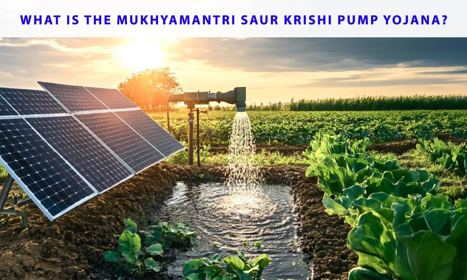  What is the Mukhyamantri Saur Krishi Pump Yojana?