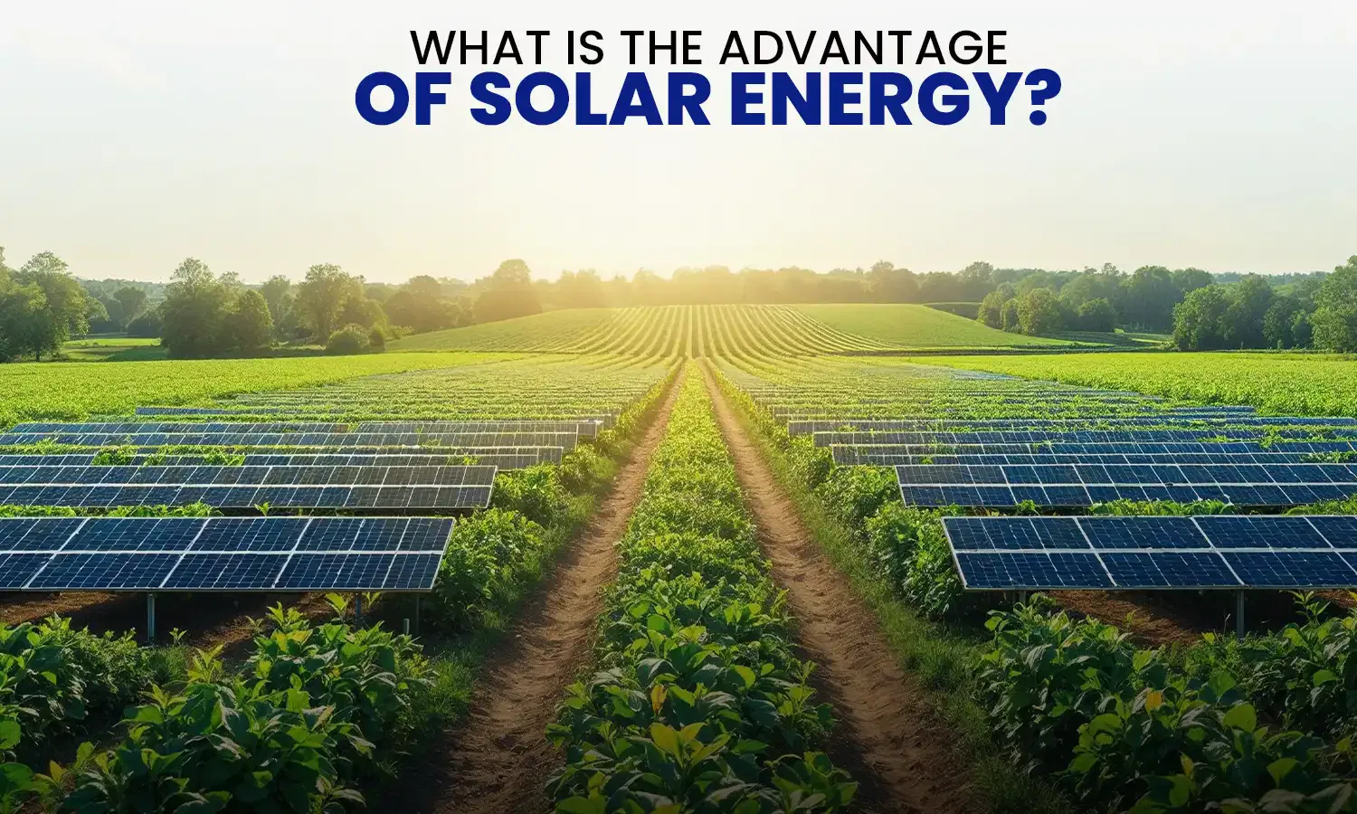 advantage of solar energy