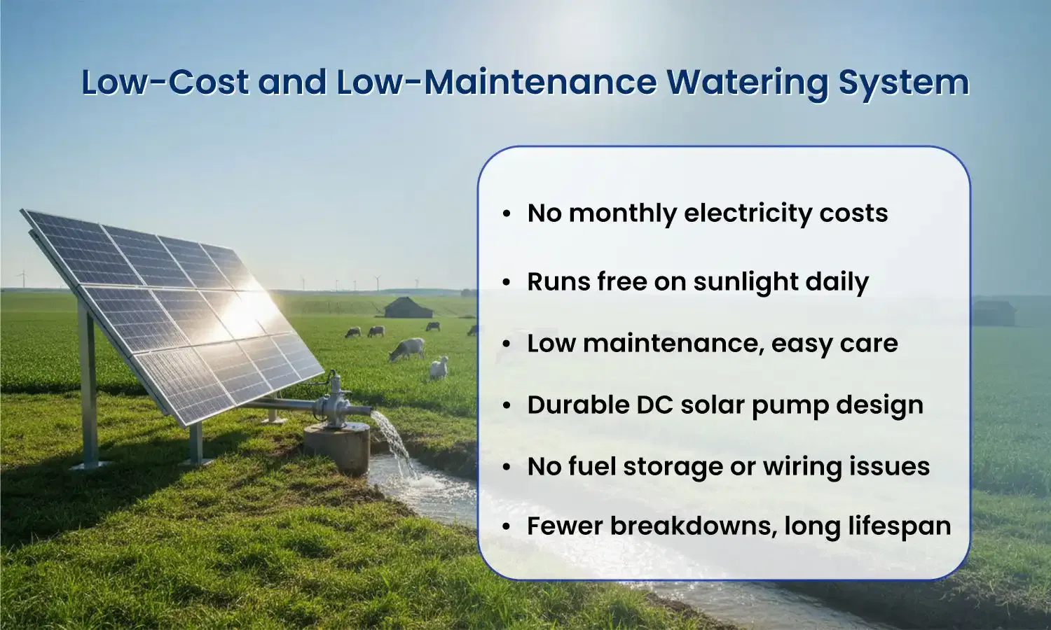 solar pumps for livestock watering
