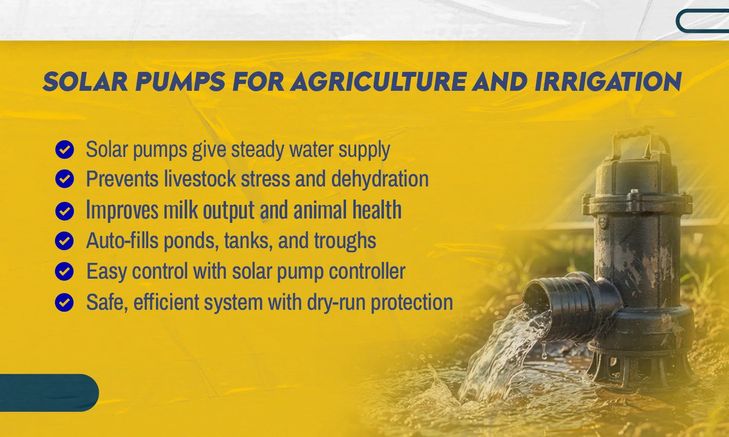 Solar Water Pumps
