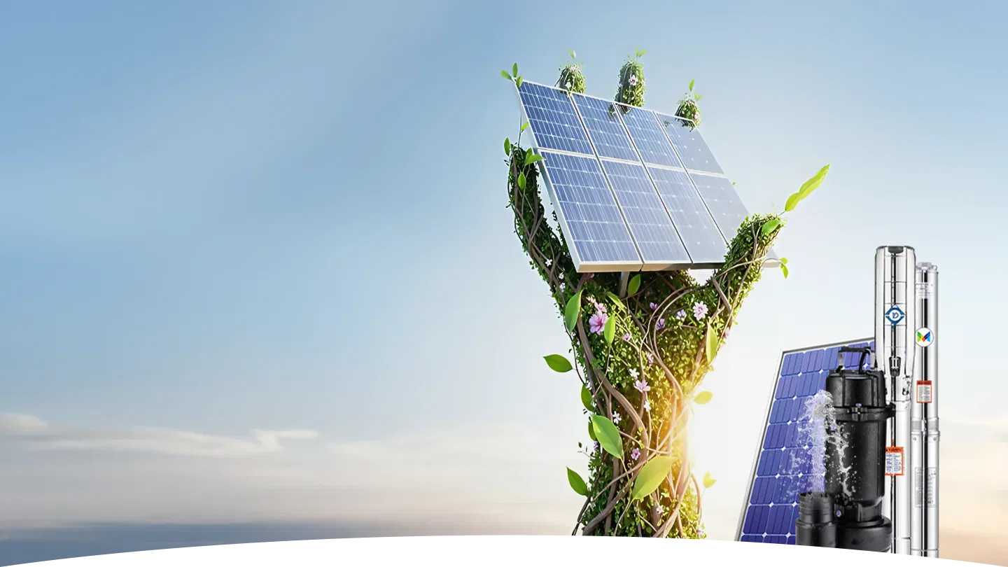 Solar uses