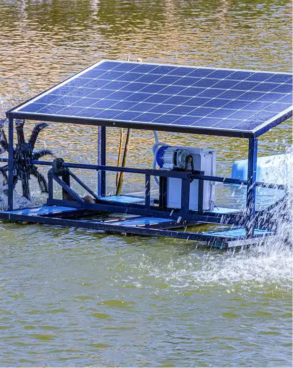 Solar Pump vs Electric Pump