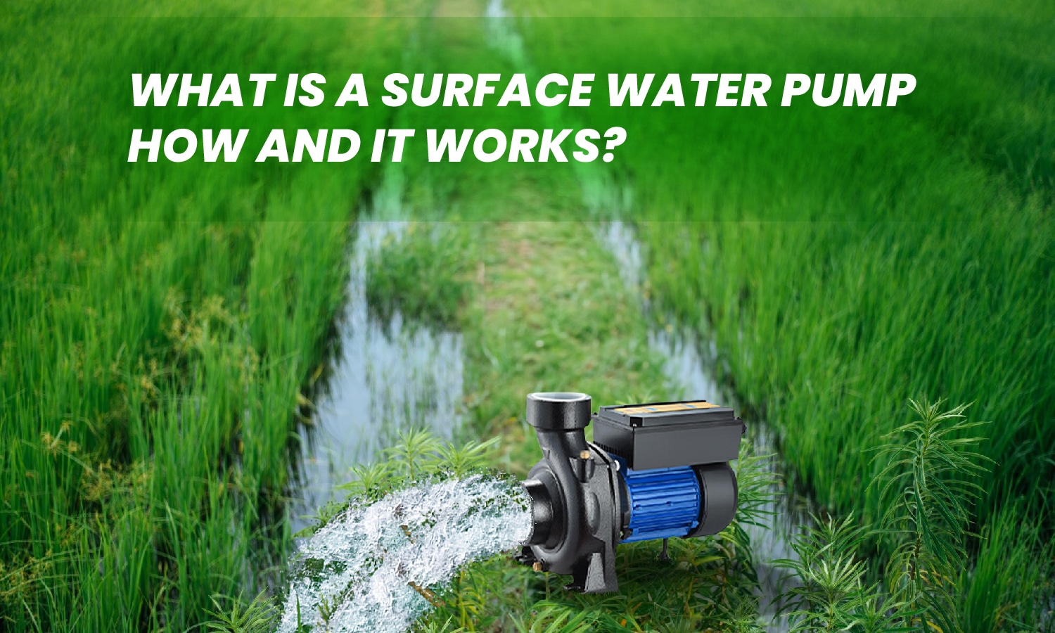 What Is a Surface Water Pump