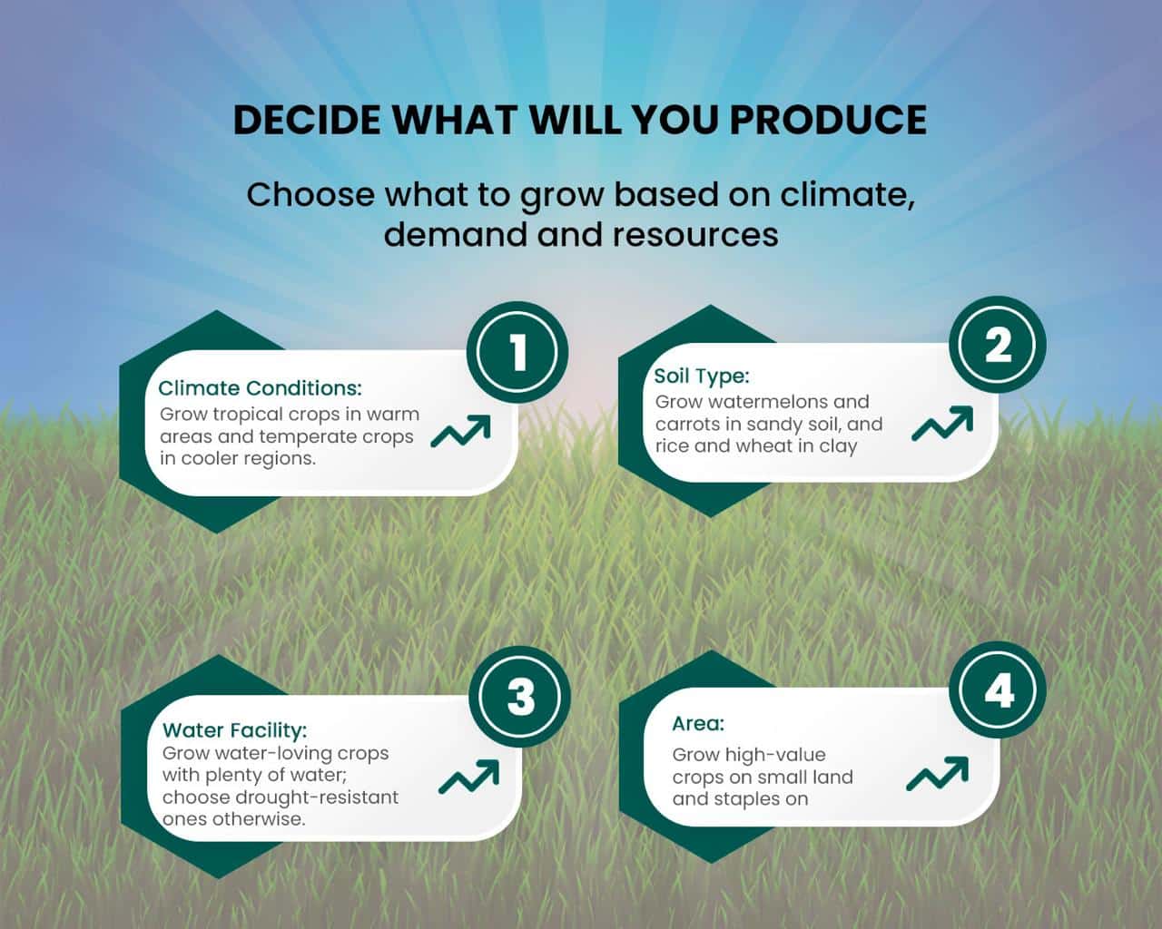 Start an Agriculture Business