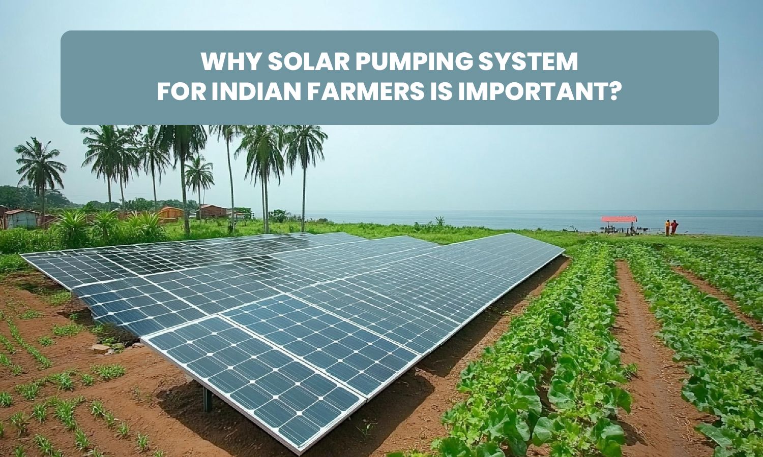 Why Solar Pumping System for Indian Farmers is Important?
