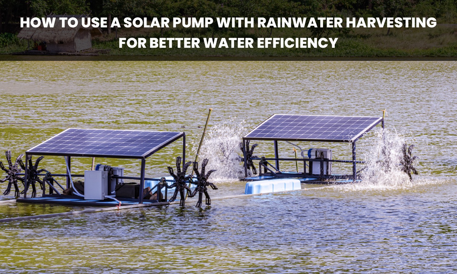 Solar pump with rainwater harvesting